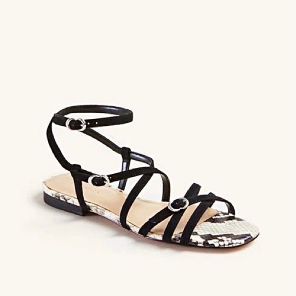 NEW ANN TAYLOR Gabriel Snake Print Suede Gladiator Sandals In Black Multi